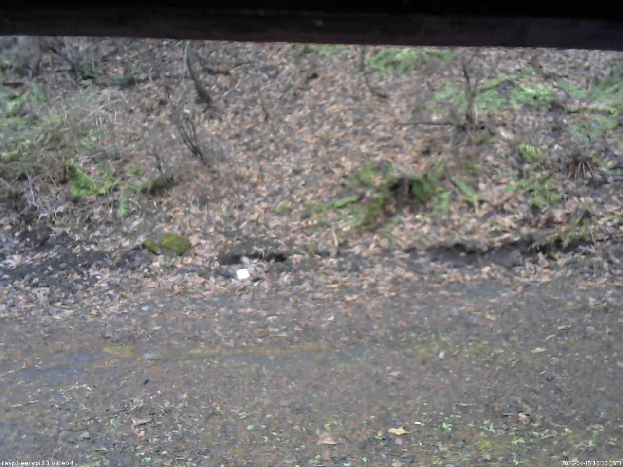 長野県菅平高原 ゆたか山荘 東側(坂下) 2026/04/15 16:30