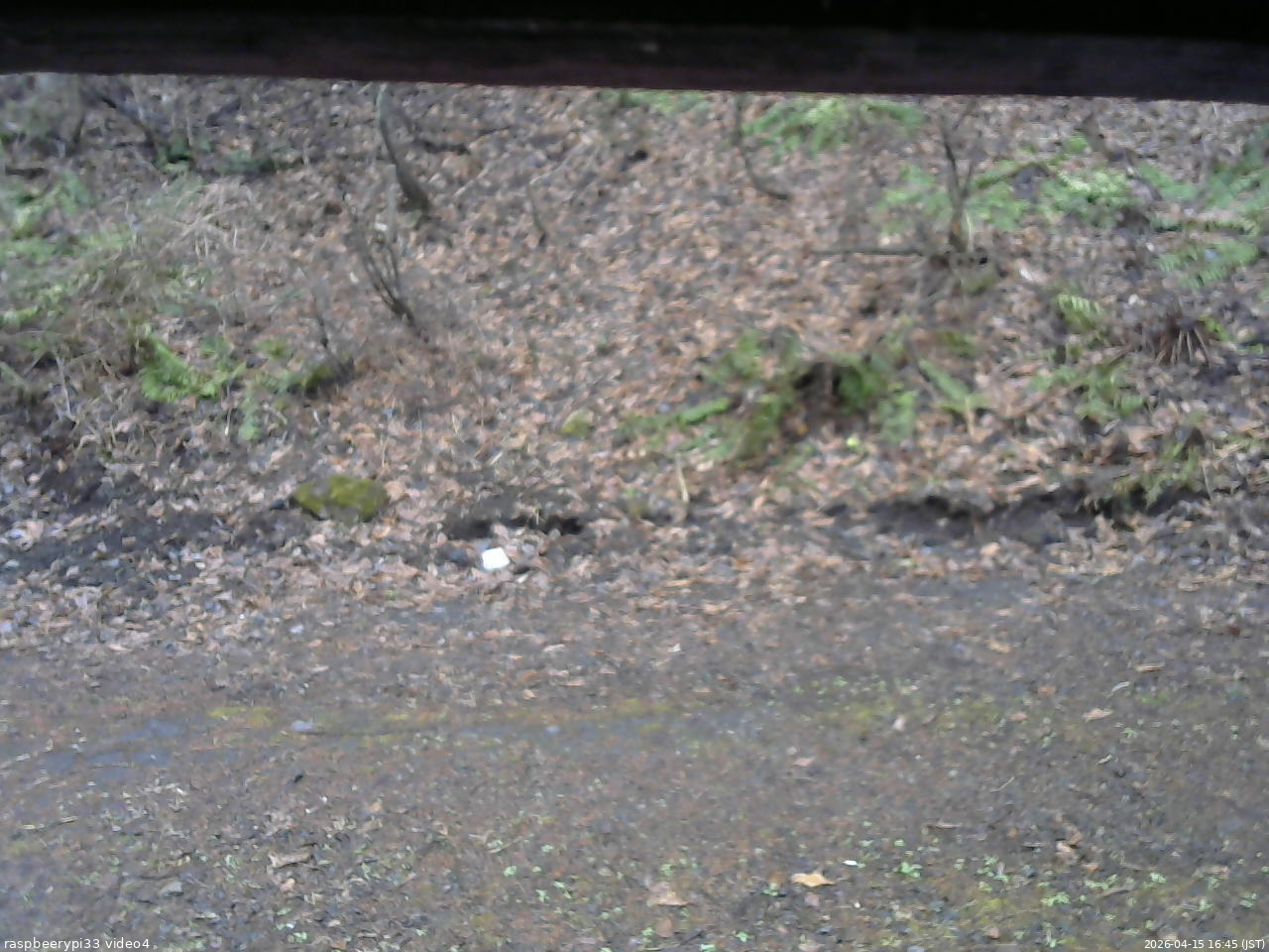 長野県菅平高原 ゆたか山荘 東側(坂下) 2026/04/15 16:45