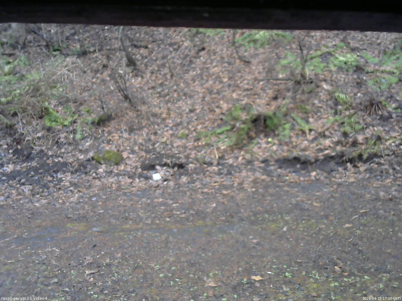 長野県菅平高原 ゆたか山荘 東側(坂下) 2026/04/15 17:00