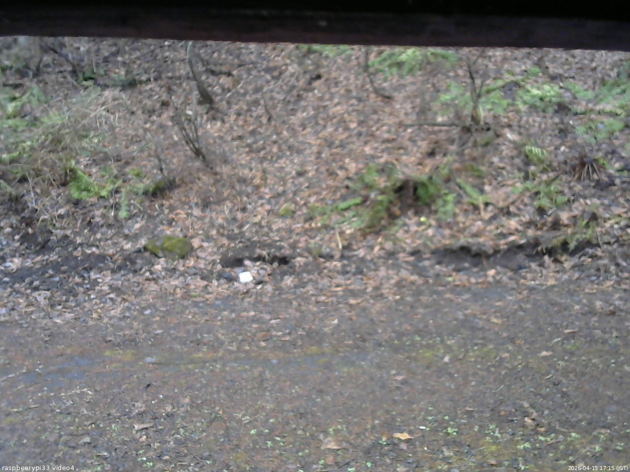 長野県菅平高原 ゆたか山荘 東側(坂下) 2026/04/15 17:15