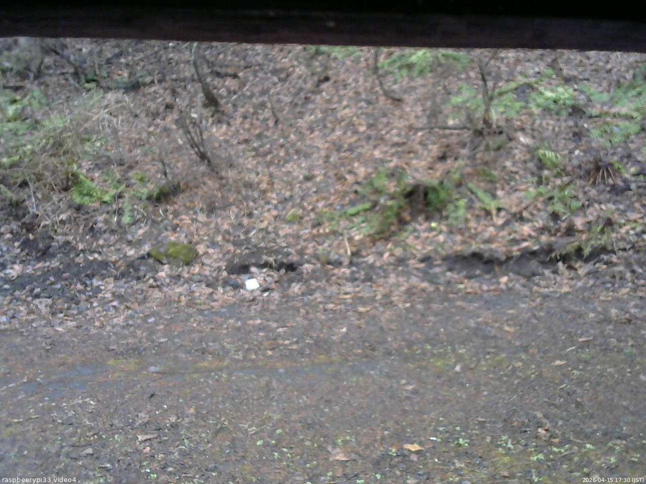 長野県菅平高原 ゆたか山荘 東側(坂下) 2026/04/15 17:30