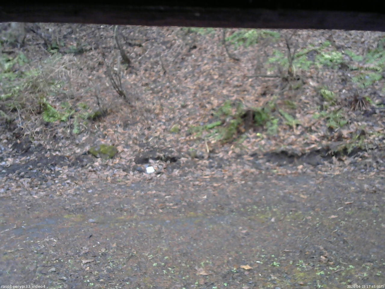 長野県菅平高原 ゆたか山荘 東側(坂下) 2026/04/15 17:45