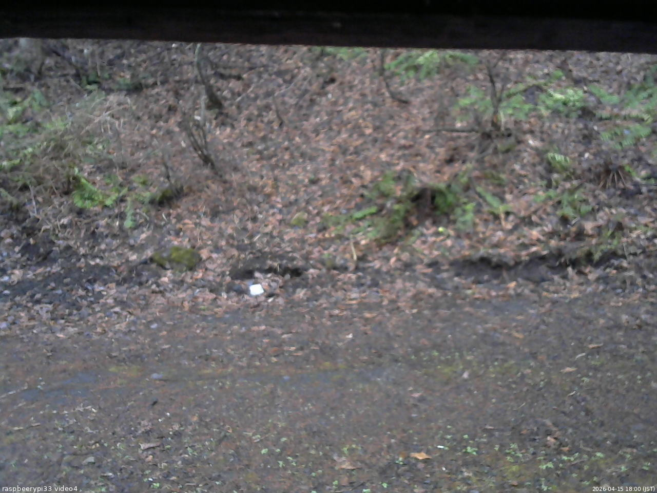 長野県菅平高原 ゆたか山荘 東側(坂下) 2026/04/15 18:00
