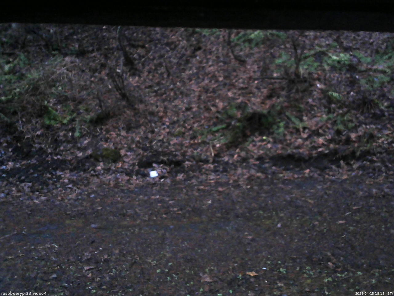 長野県菅平高原 ゆたか山荘 東側(坂下) 2026/04/15 18:15