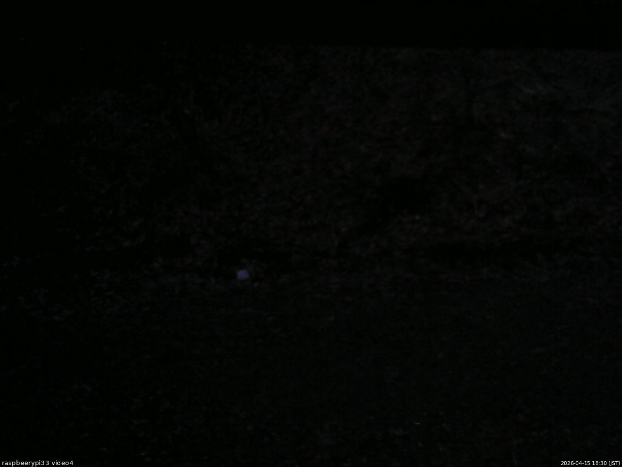 長野県菅平高原 ゆたか山荘 東側(坂下) 2026/04/15 18:30