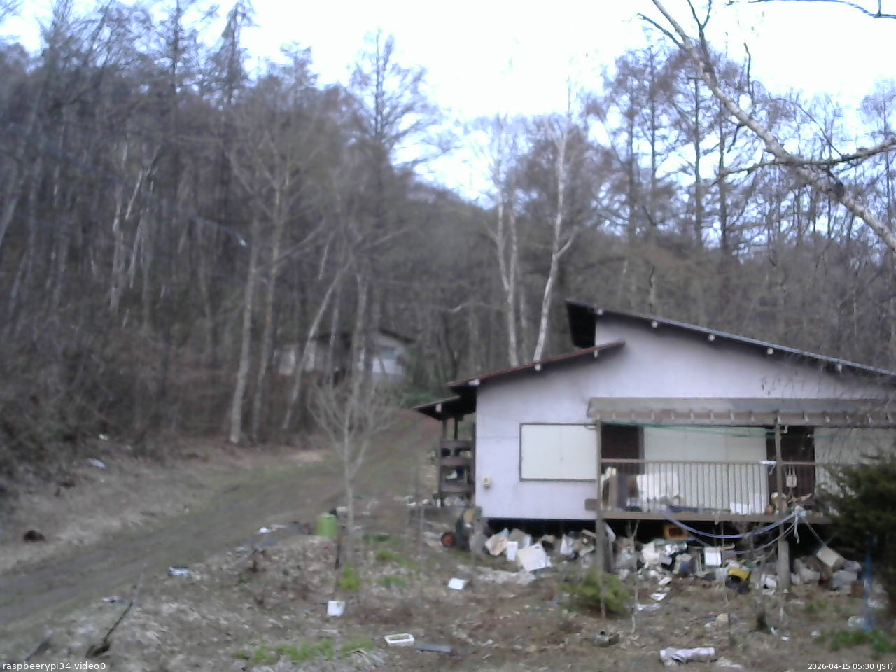 長野県菅平高原 ゆたか山荘 西側(坂上) 2026/04/15 05:30