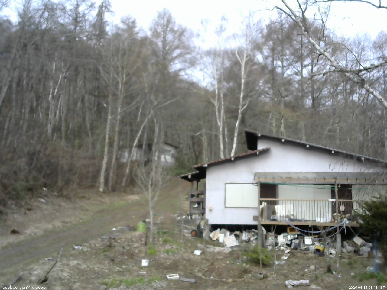 長野県菅平高原 ゆたか山荘 西側(坂上) 2026/04/15 06:45
