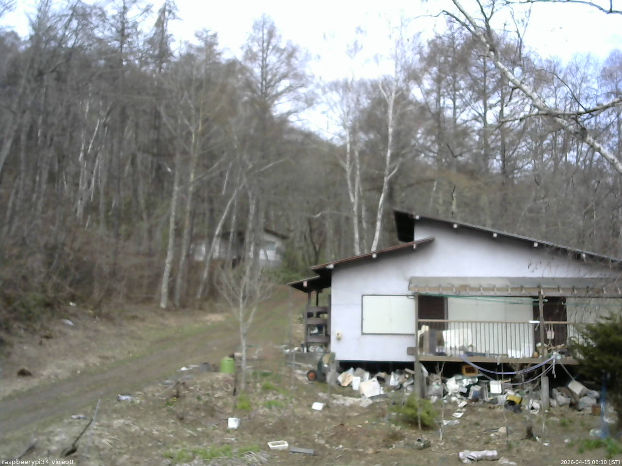 長野県菅平高原 ゆたか山荘 西側(坂上) 2026/04/15 08:30