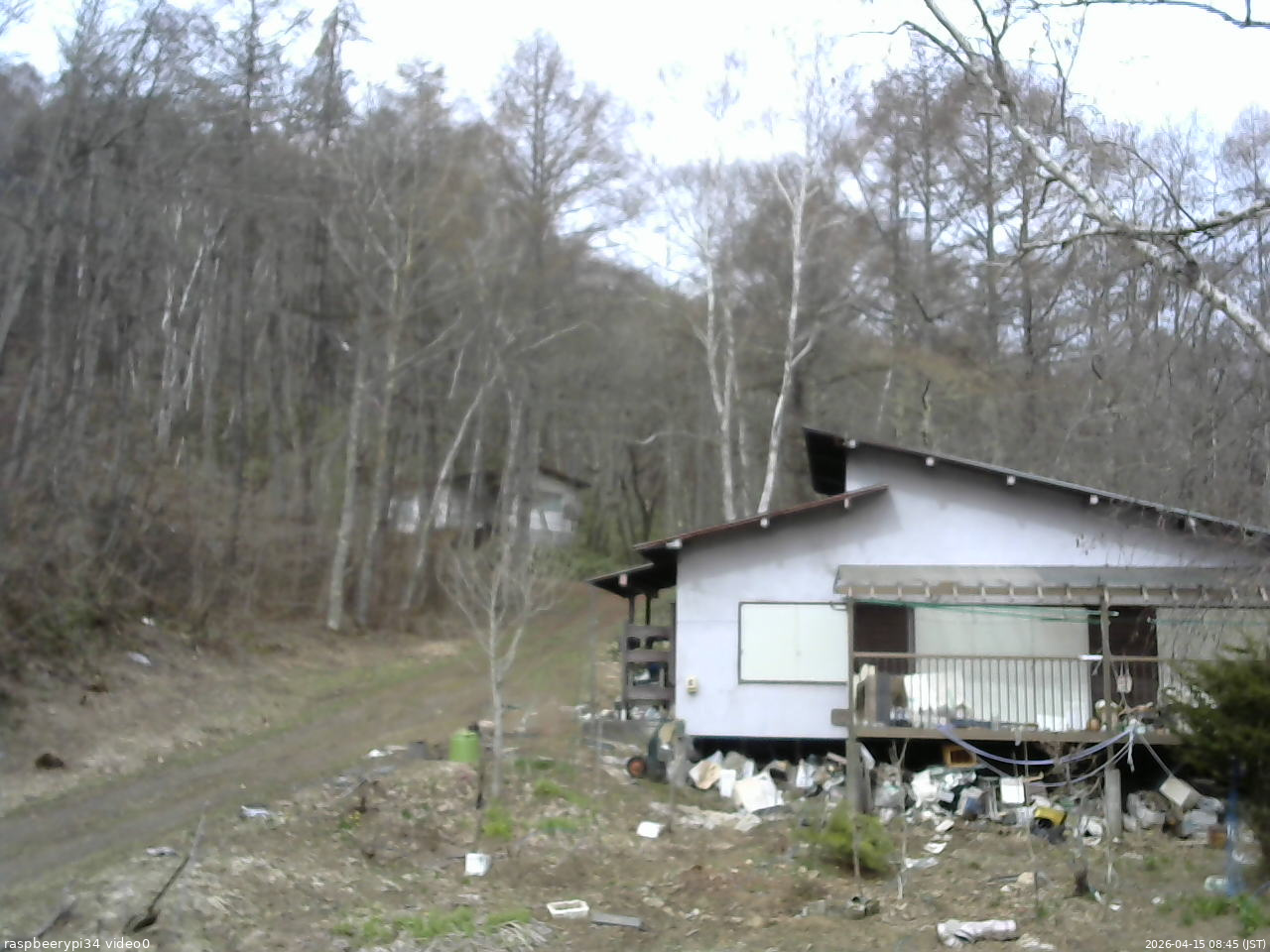 長野県菅平高原 ゆたか山荘 西側(坂上) 2026/04/15 08:45