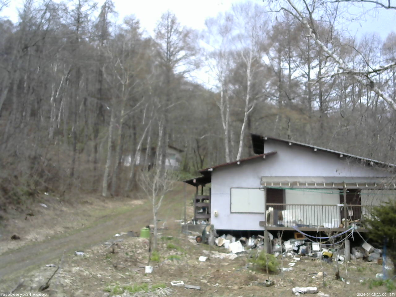 長野県菅平高原 ゆたか山荘 西側(坂上) 2026/04/15 11:00
