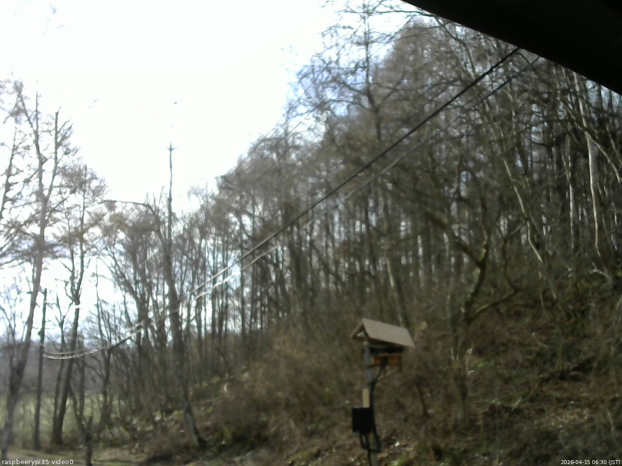 長野県菅平高原 ゆたか山荘 温度計 2026/04/15 06:30