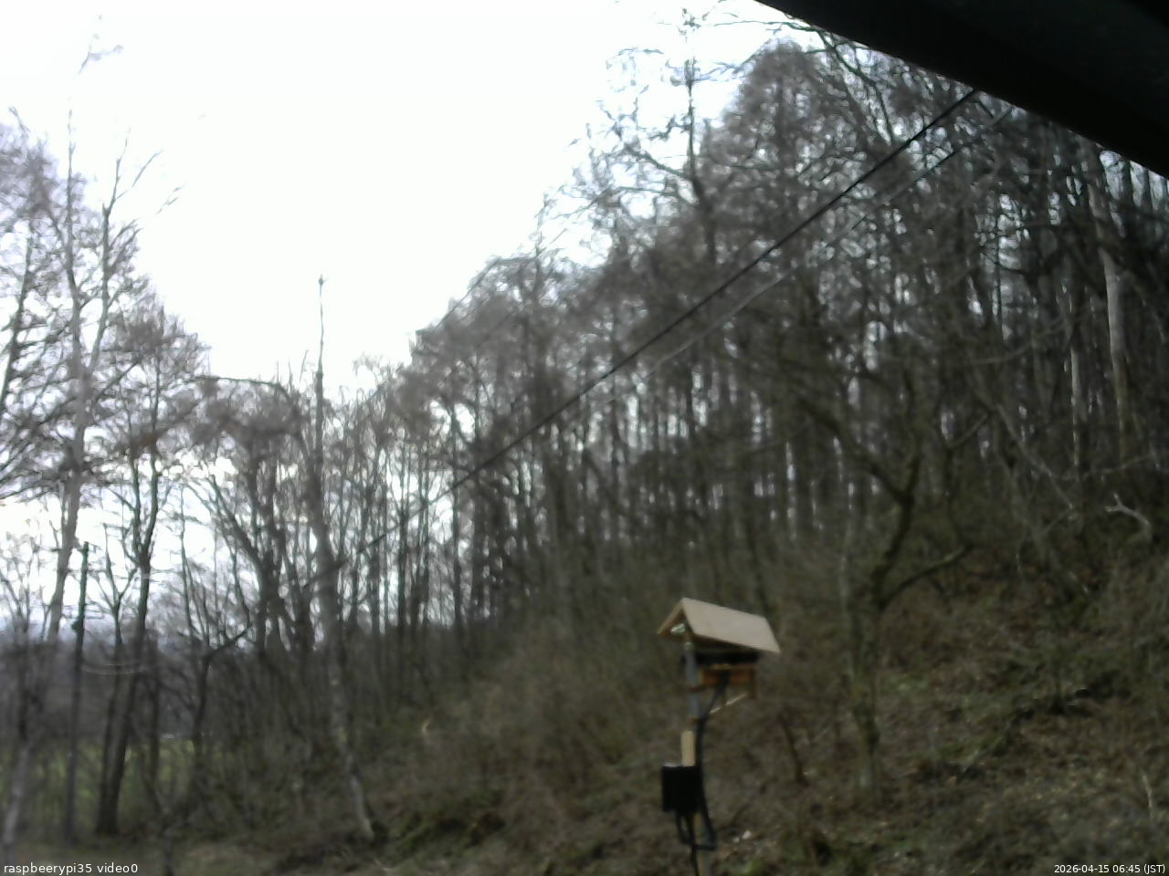 長野県菅平高原 ゆたか山荘 温度計 2026/04/15 06:45