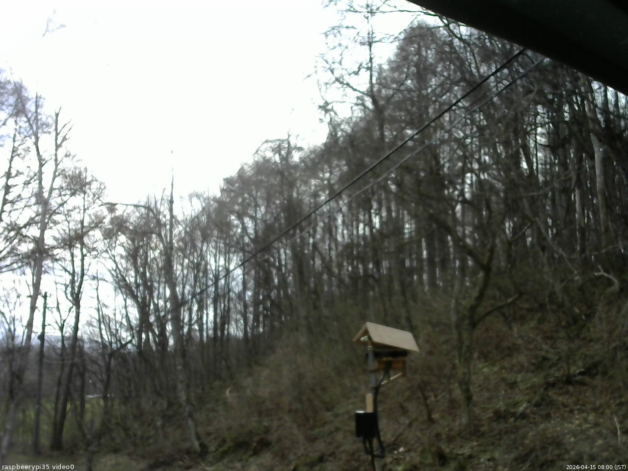 長野県菅平高原 ゆたか山荘 温度計 2026/04/15 08:00