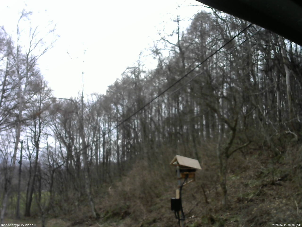 長野県菅平高原 ゆたか山荘 温度計 2026/04/15 08:30