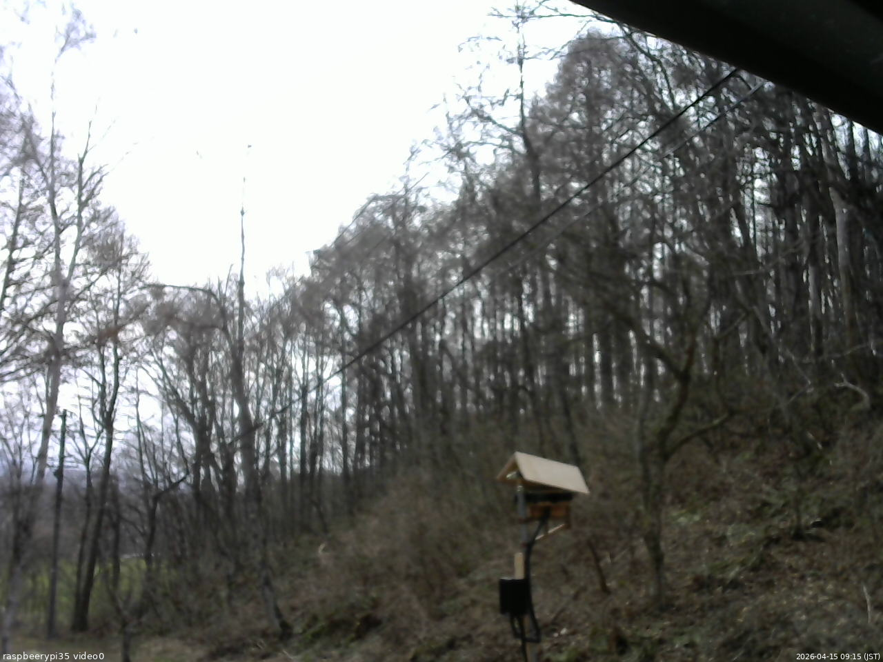 長野県菅平高原 ゆたか山荘 温度計 2026/04/15 09:15