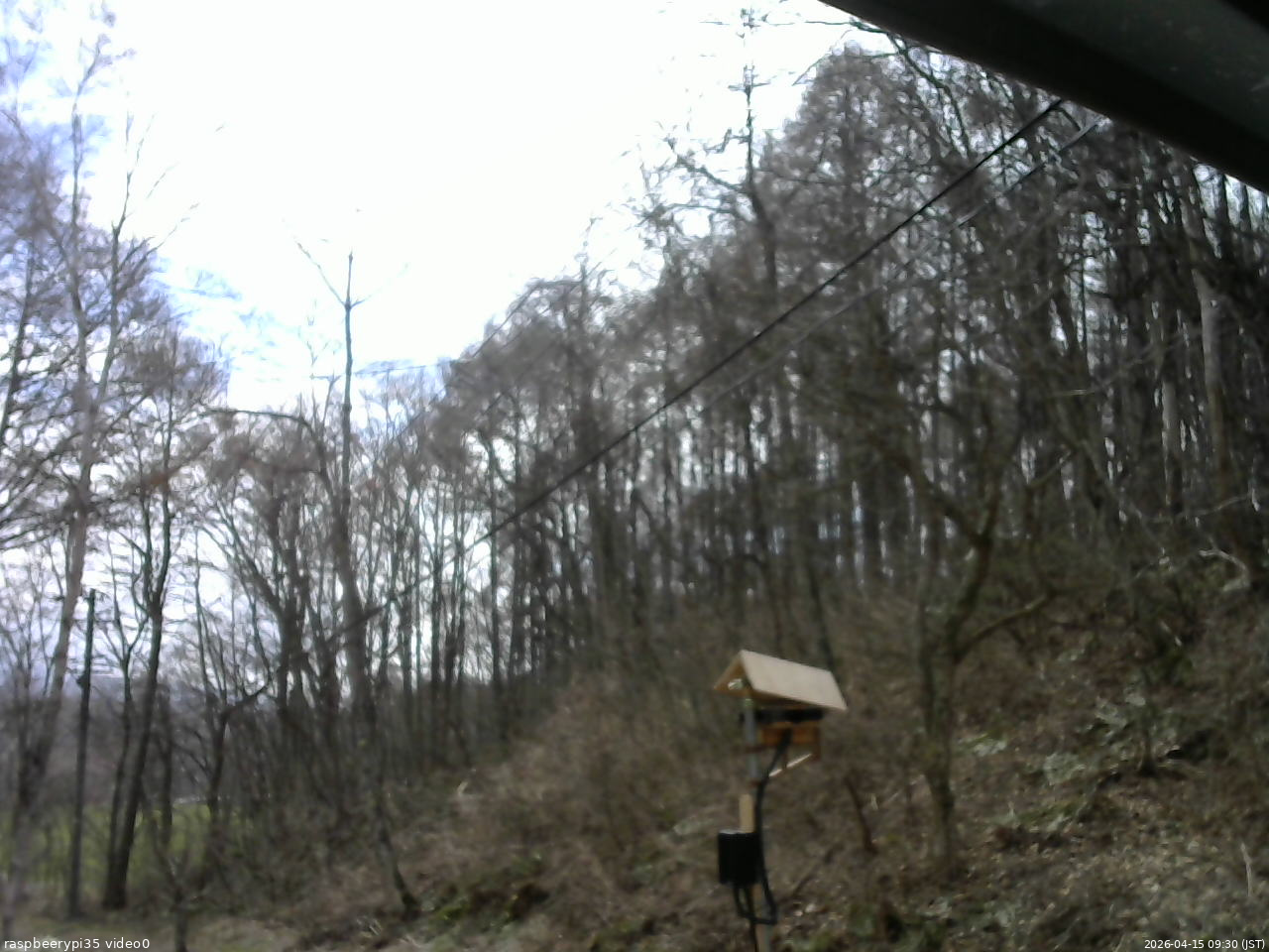 長野県菅平高原 ゆたか山荘 温度計 2026/04/15 09:30