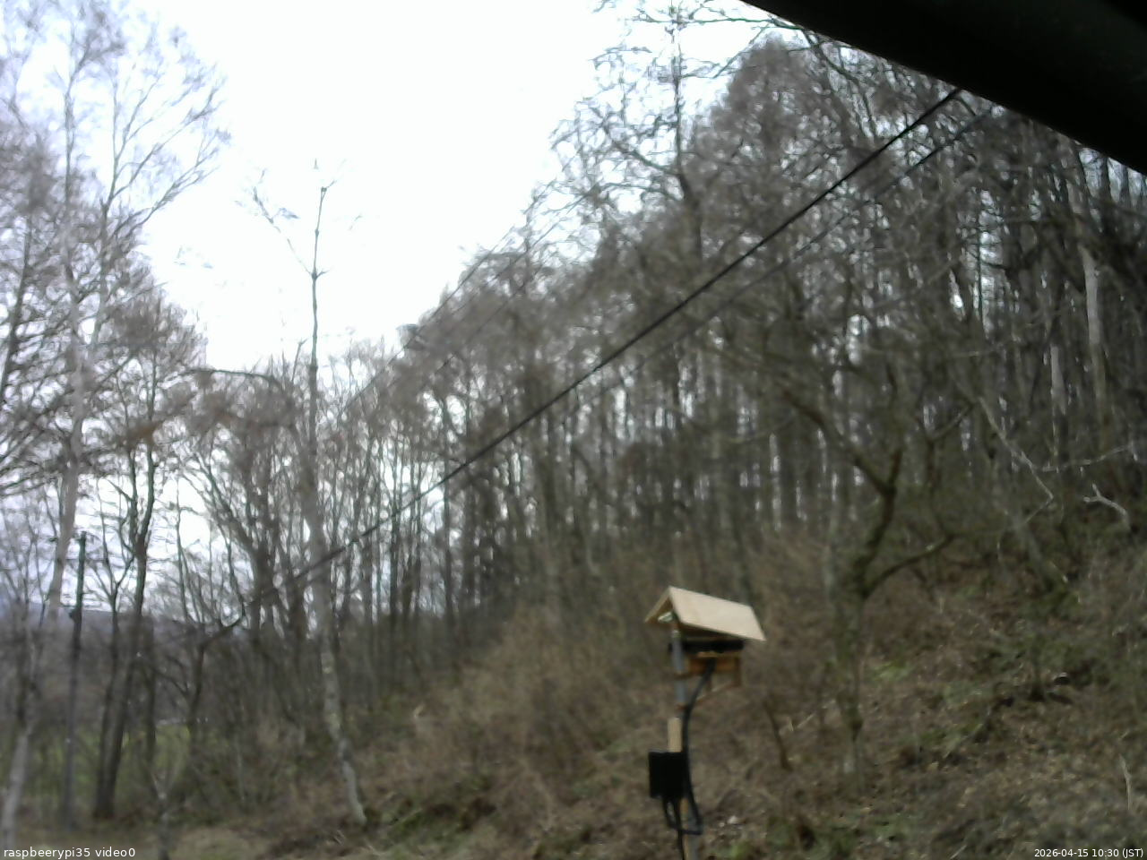 長野県菅平高原 ゆたか山荘 温度計 2026/04/15 10:30