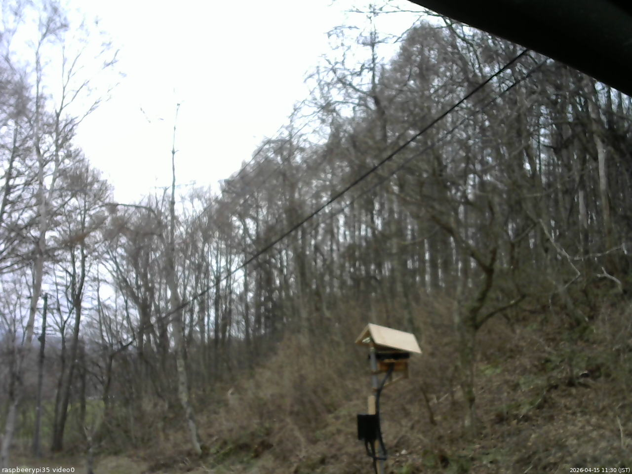 長野県菅平高原 ゆたか山荘 温度計 2026/04/15 11:30