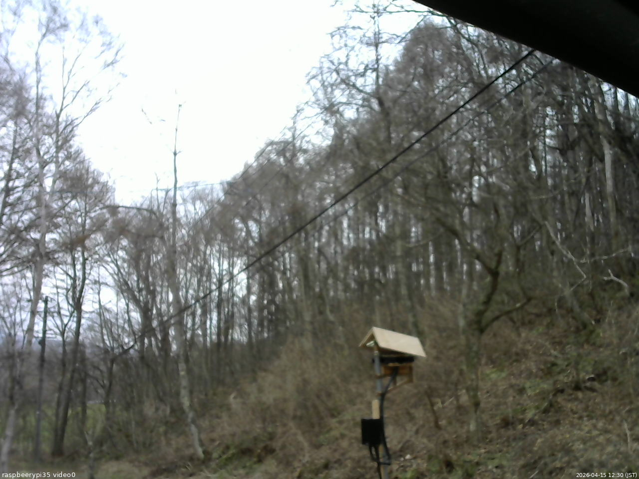 長野県菅平高原 ゆたか山荘 温度計 2026/04/15 12:30