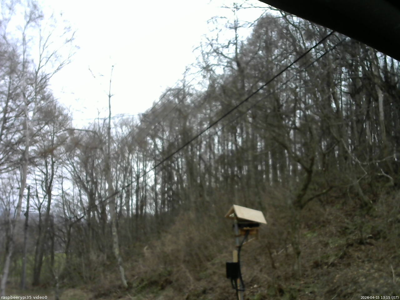 長野県菅平高原 ゆたか山荘 温度計 2026/04/15 13:15