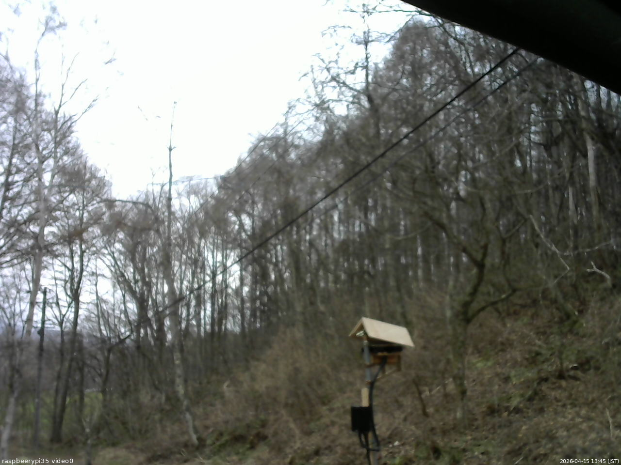 長野県菅平高原 ゆたか山荘 温度計 2026/04/15 13:45