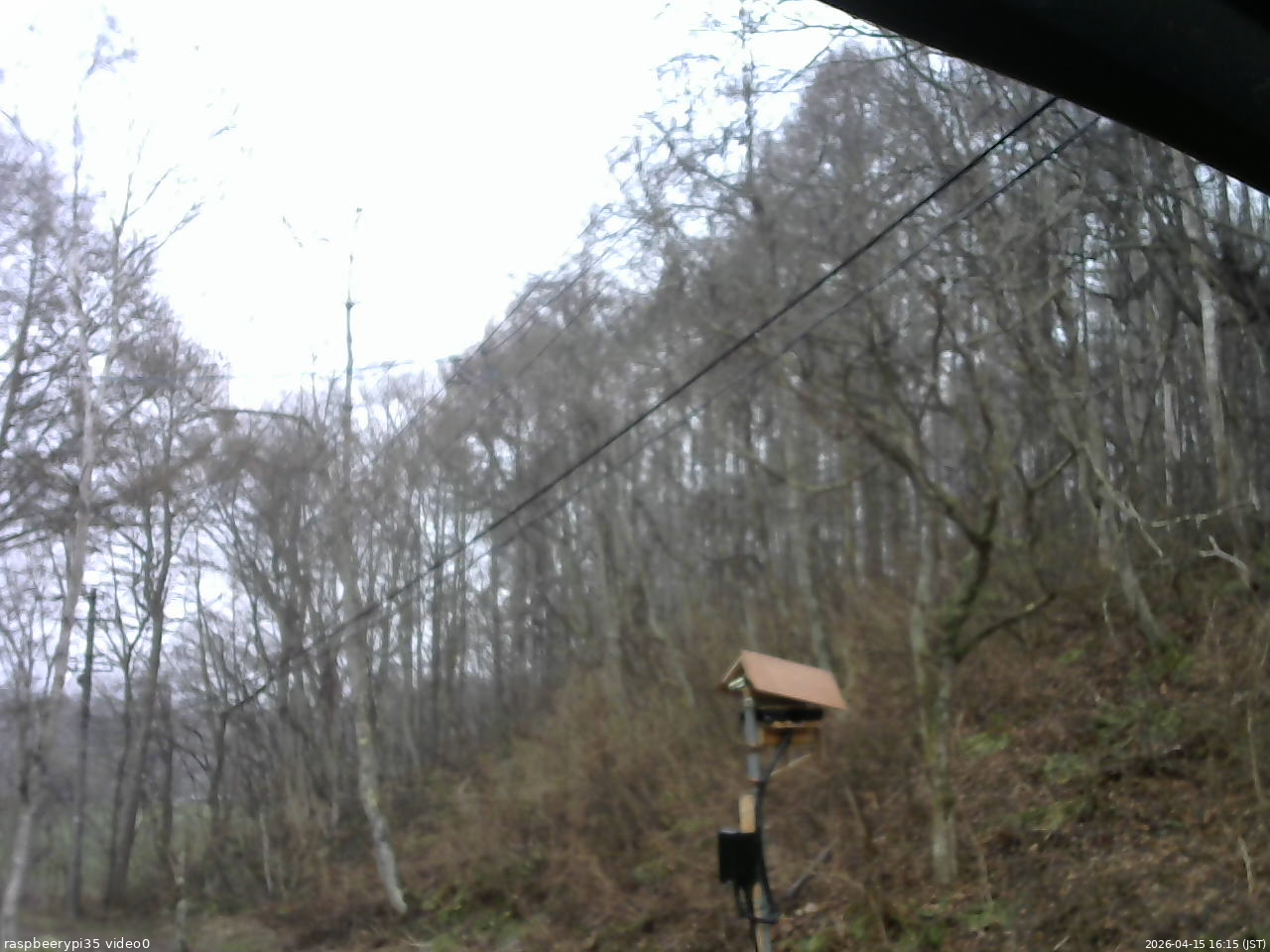 長野県菅平高原 ゆたか山荘 温度計 2026/04/15 16:15