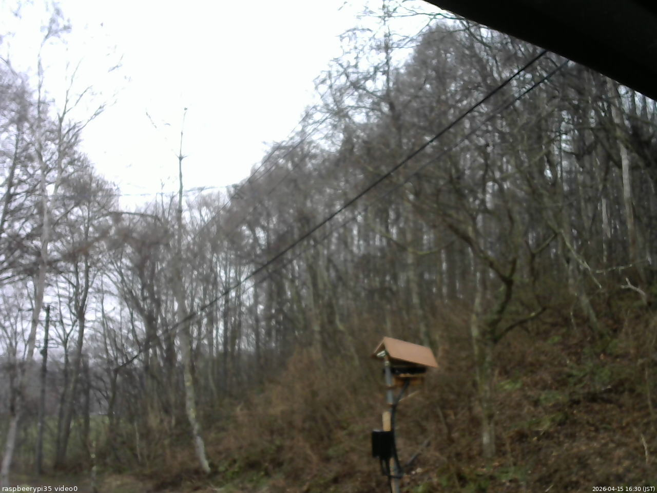 長野県菅平高原 ゆたか山荘 温度計 2026/04/15 16:30