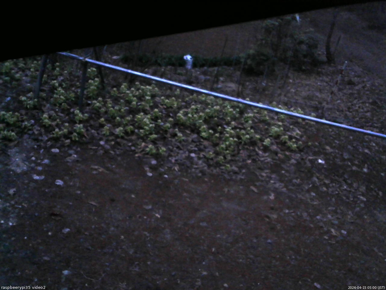 長野県菅平高原 ゆたか山荘 駐車場 2026/04/15 05:00