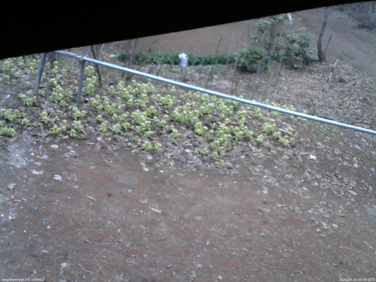 長野県菅平高原 ゆたか山荘 駐車場 2026/04/15 05:30