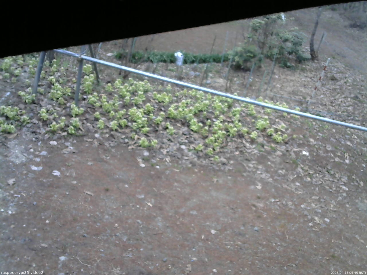 長野県菅平高原 ゆたか山荘 駐車場 2026/04/15 05:45