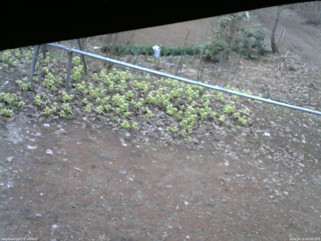 長野県菅平高原 ゆたか山荘 駐車場 2026/04/15 06:00