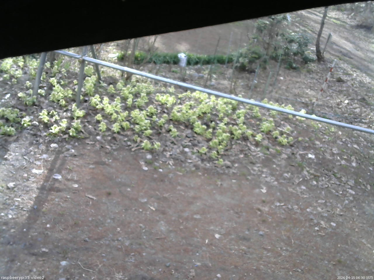 長野県菅平高原 ゆたか山荘 駐車場 2026/04/15 06:30