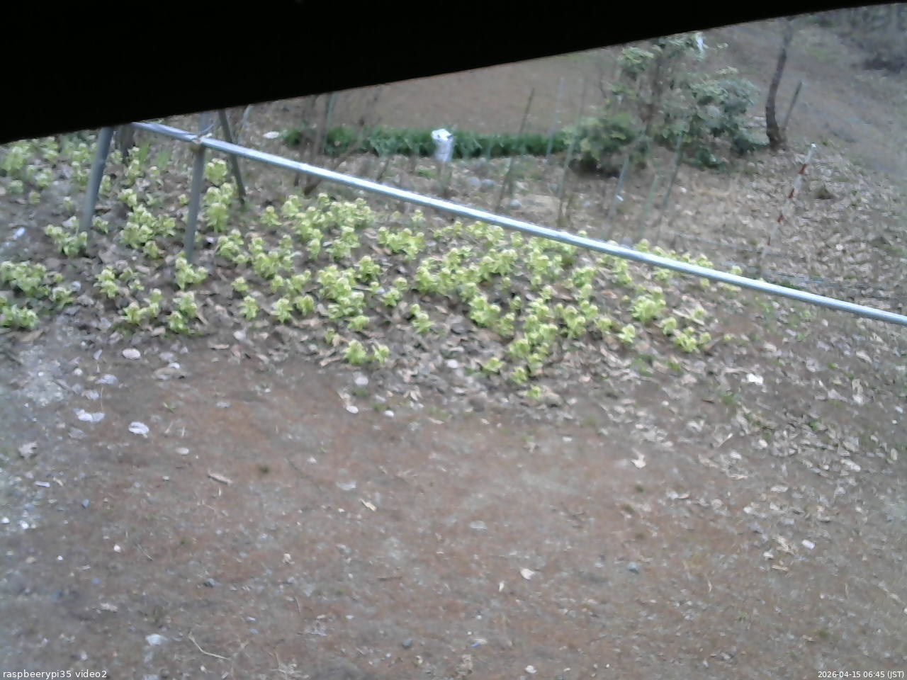 長野県菅平高原 ゆたか山荘 駐車場 2026/04/15 06:45