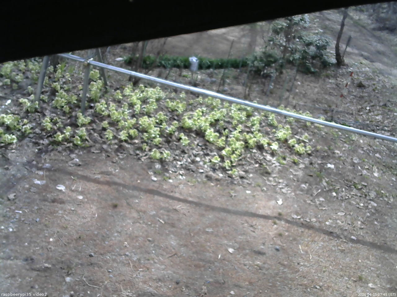 長野県菅平高原 ゆたか山荘 駐車場 2026/04/15 07:45