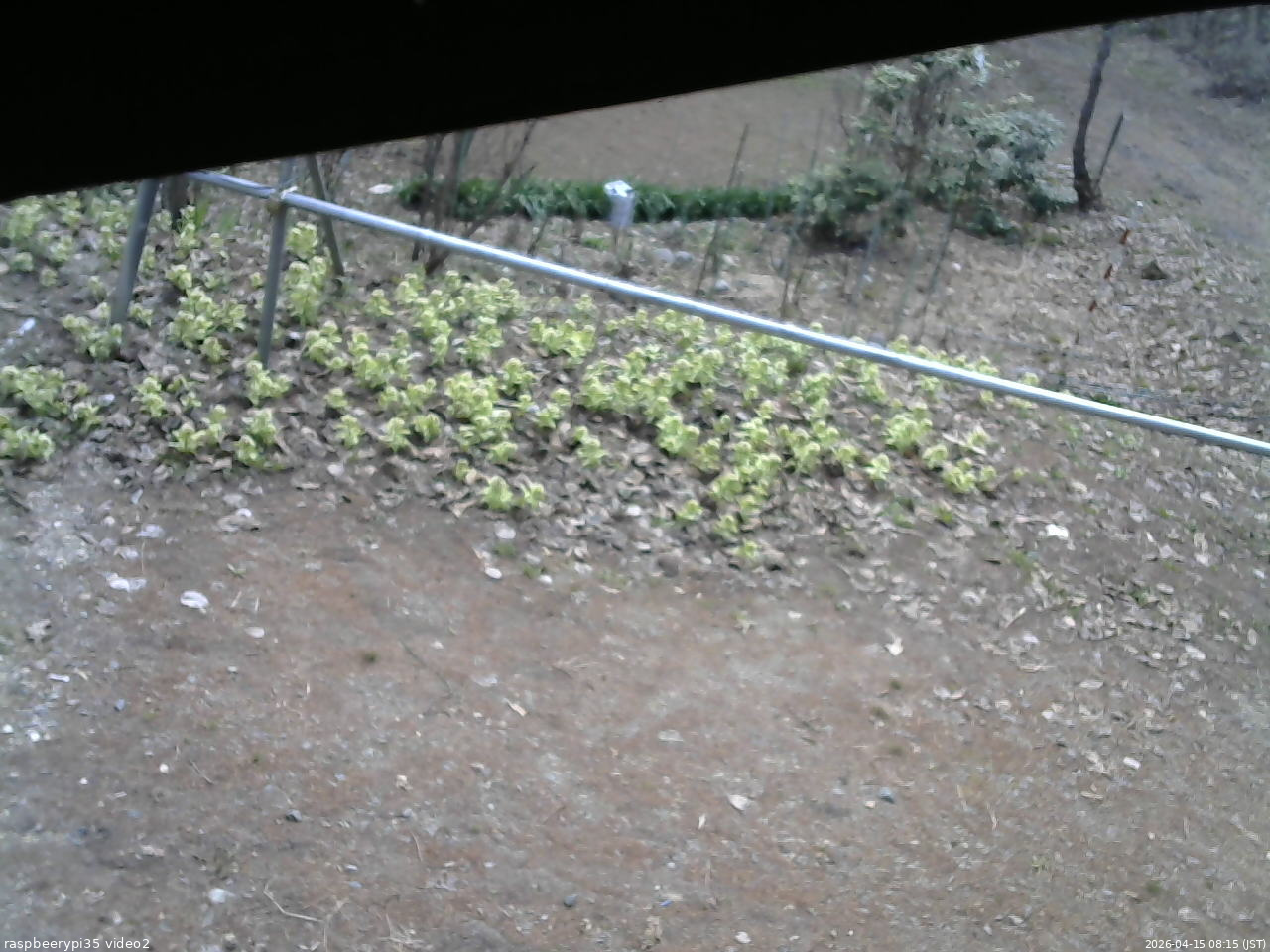 長野県菅平高原 ゆたか山荘 駐車場 2026/04/15 08:15