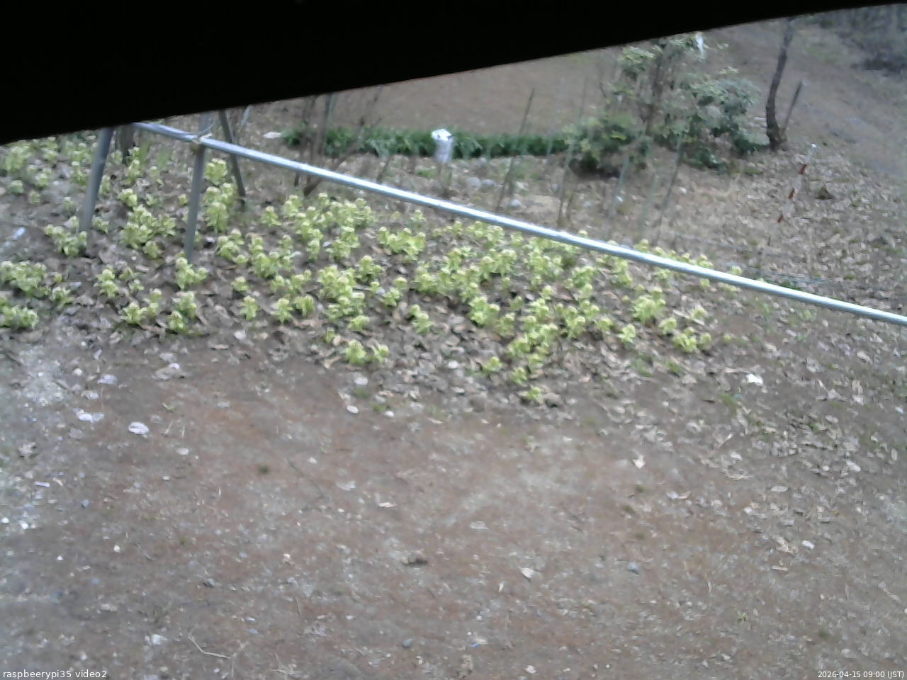 長野県菅平高原 ゆたか山荘 駐車場 2026/04/15 09:00