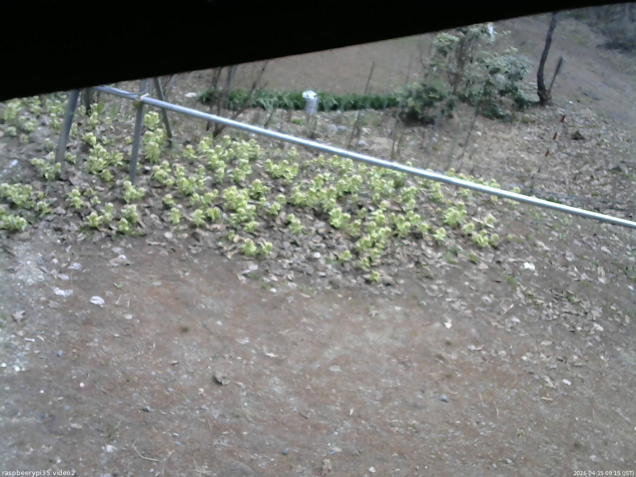 長野県菅平高原 ゆたか山荘 駐車場 2026/04/15 09:15