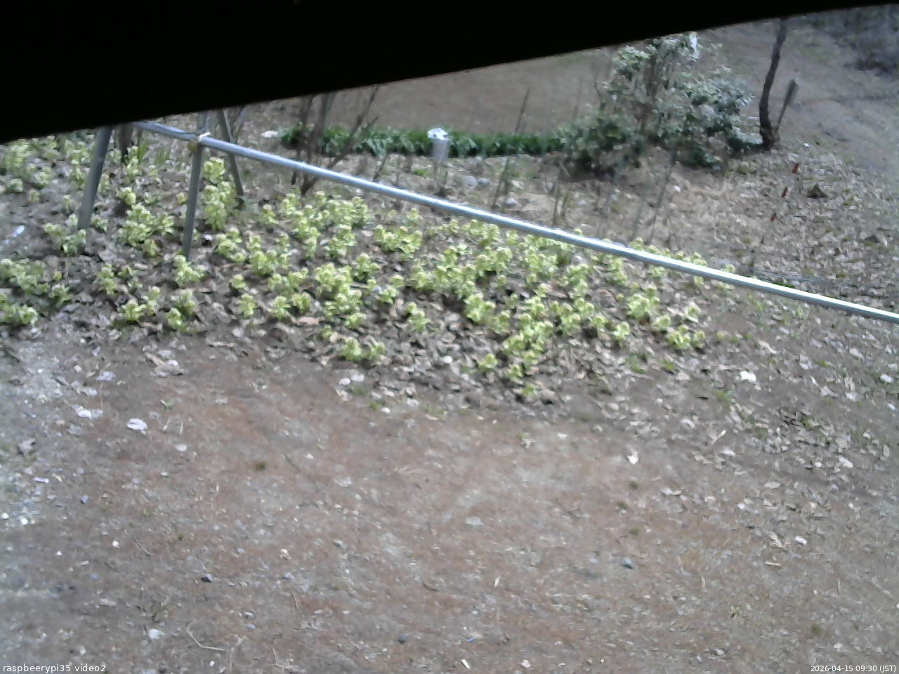 長野県菅平高原 ゆたか山荘 駐車場 2026/04/15 09:30