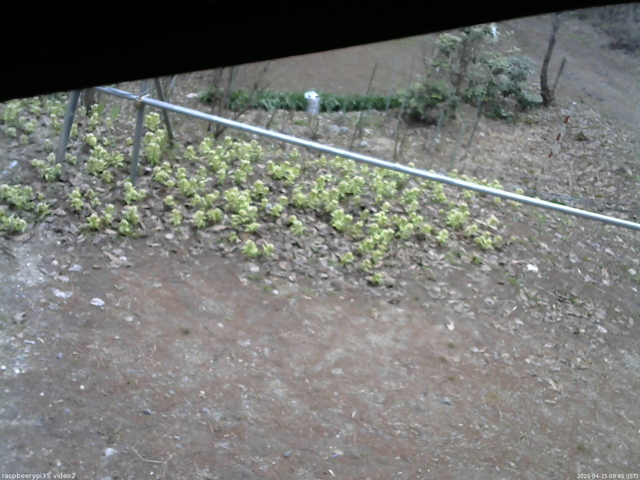 長野県菅平高原 ゆたか山荘 駐車場 2026/04/15 09:45