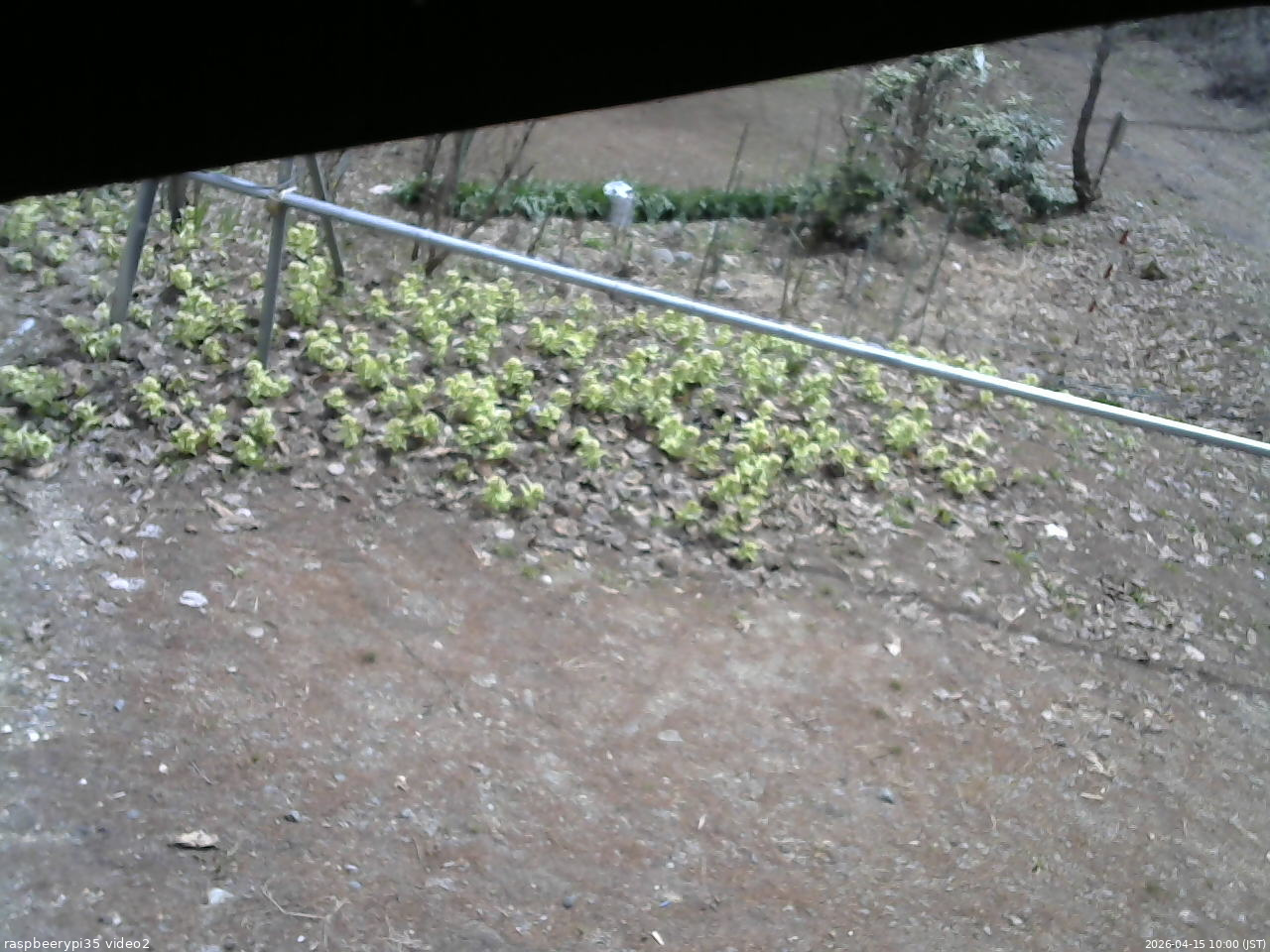 長野県菅平高原 ゆたか山荘 駐車場 2026/04/15 10:00