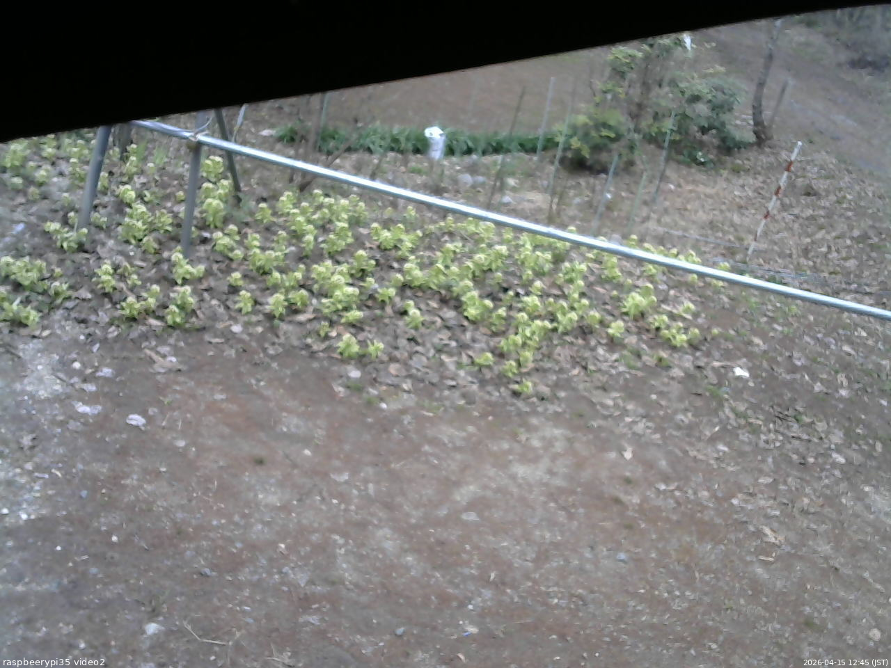 長野県菅平高原 ゆたか山荘 駐車場 2026/04/15 12:45