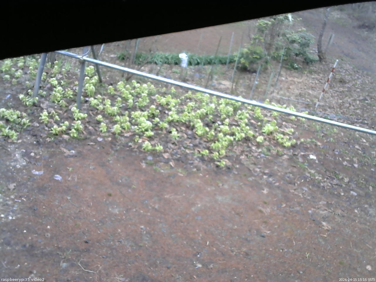 長野県菅平高原 ゆたか山荘 駐車場 2026/04/15 15:15