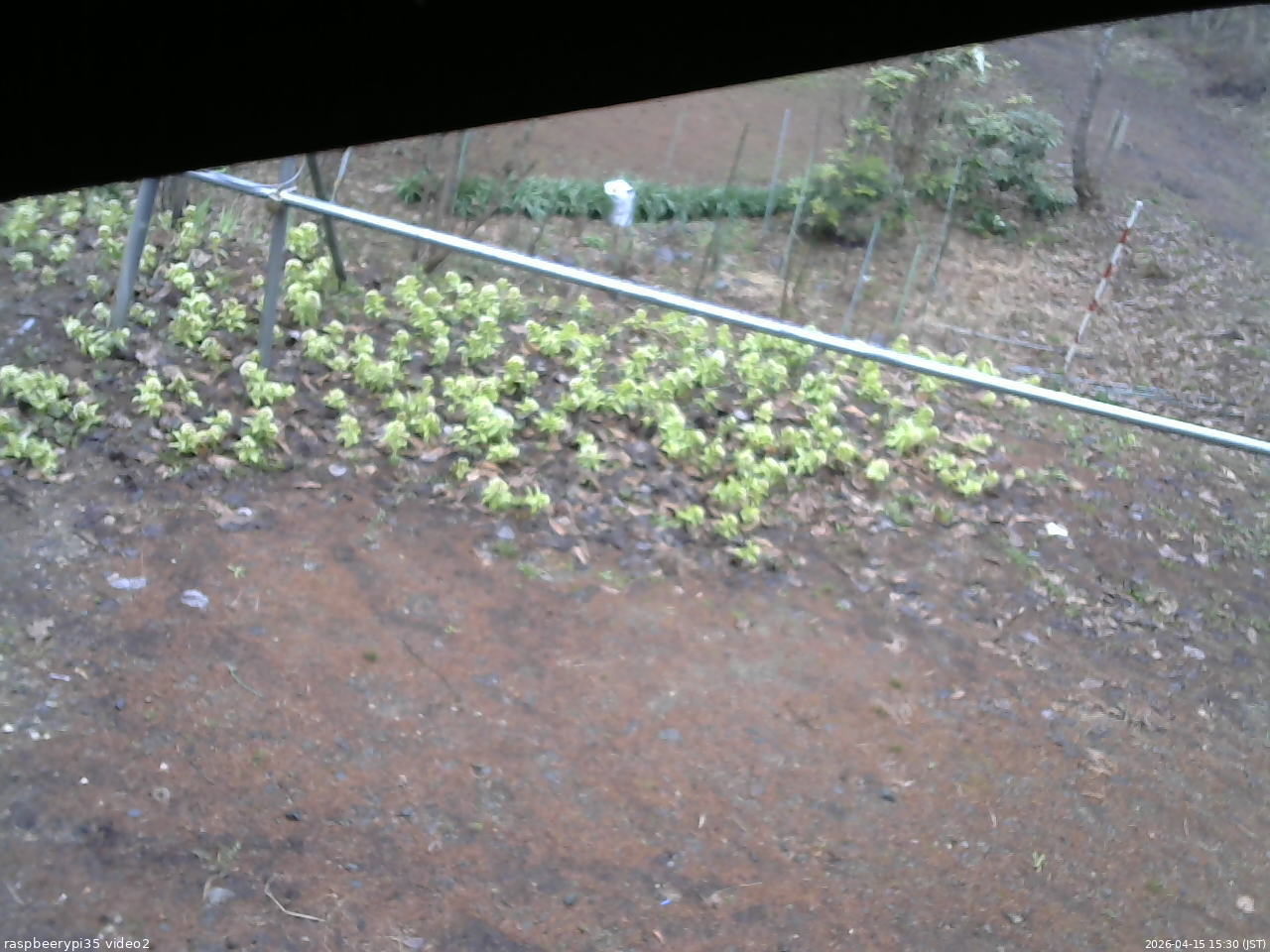 長野県菅平高原 ゆたか山荘 駐車場 2026/04/15 15:30