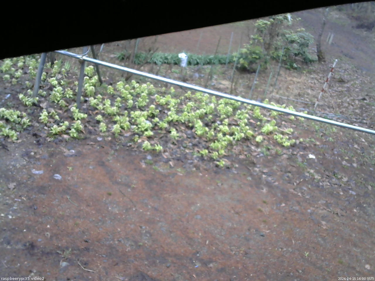 長野県菅平高原 ゆたか山荘 駐車場 2026/04/15 16:00