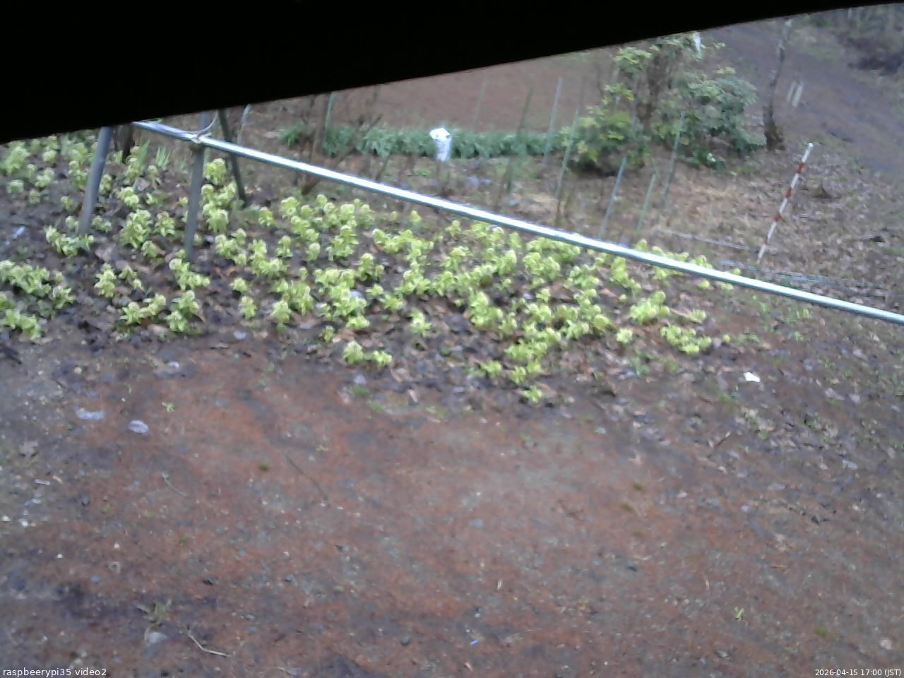 長野県菅平高原 ゆたか山荘 駐車場 2026/04/15 17:00