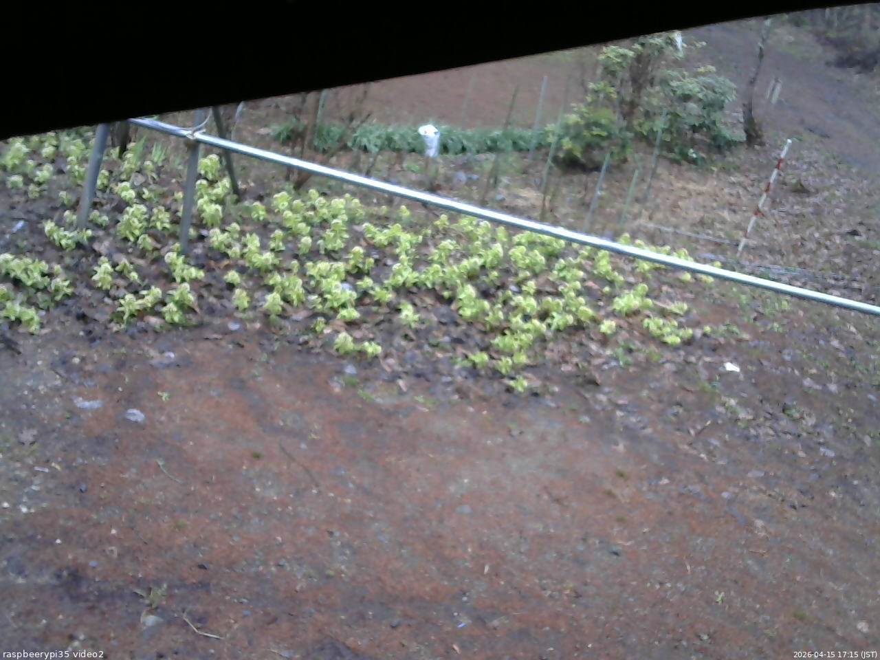 長野県菅平高原 ゆたか山荘 駐車場 2026/04/15 17:15
