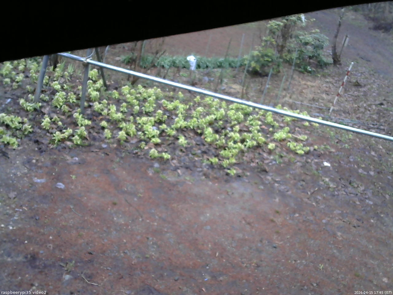 長野県菅平高原 ゆたか山荘 駐車場 2026/04/15 17:45