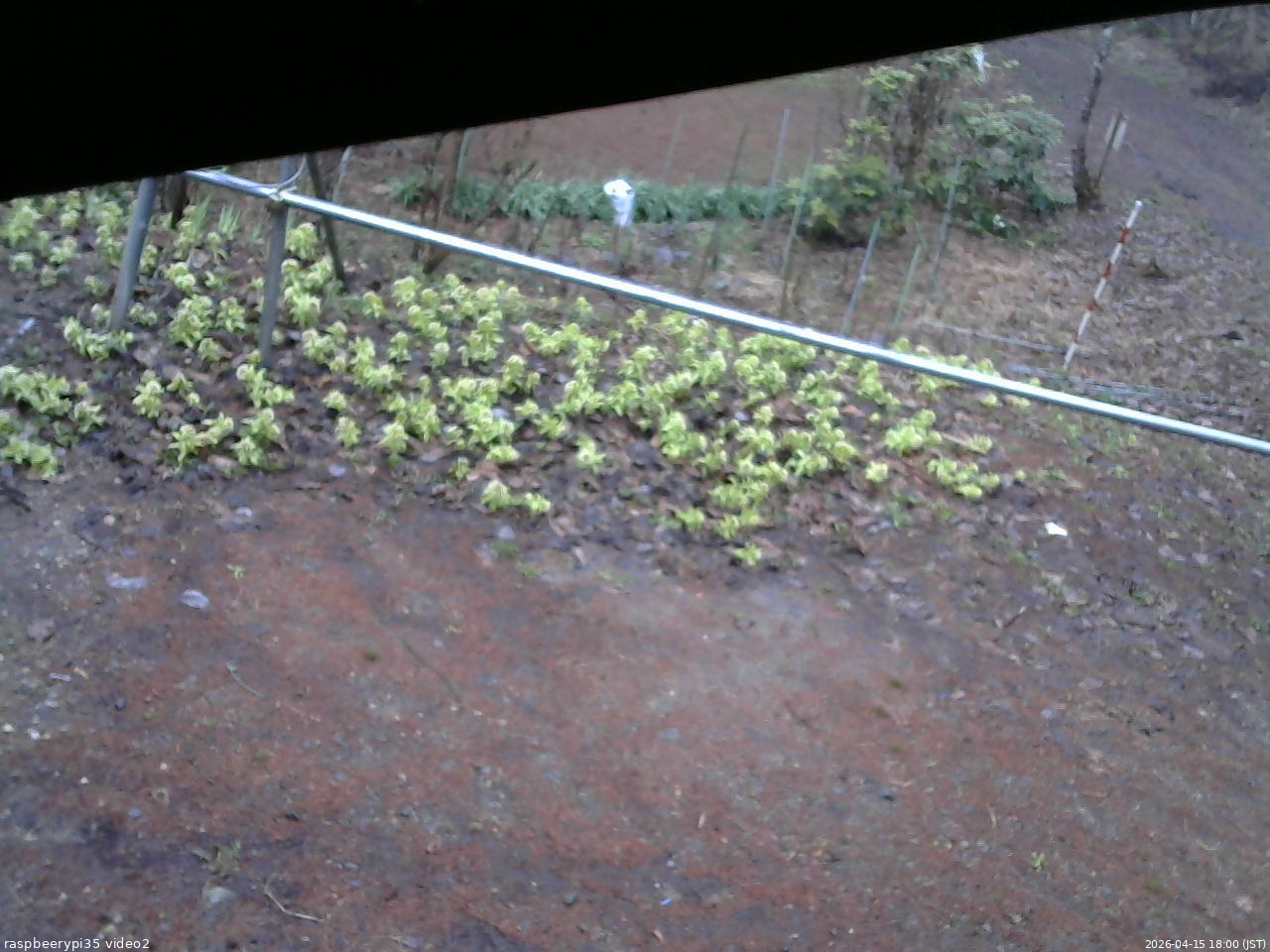 長野県菅平高原 ゆたか山荘 駐車場 2026/04/15 18:00