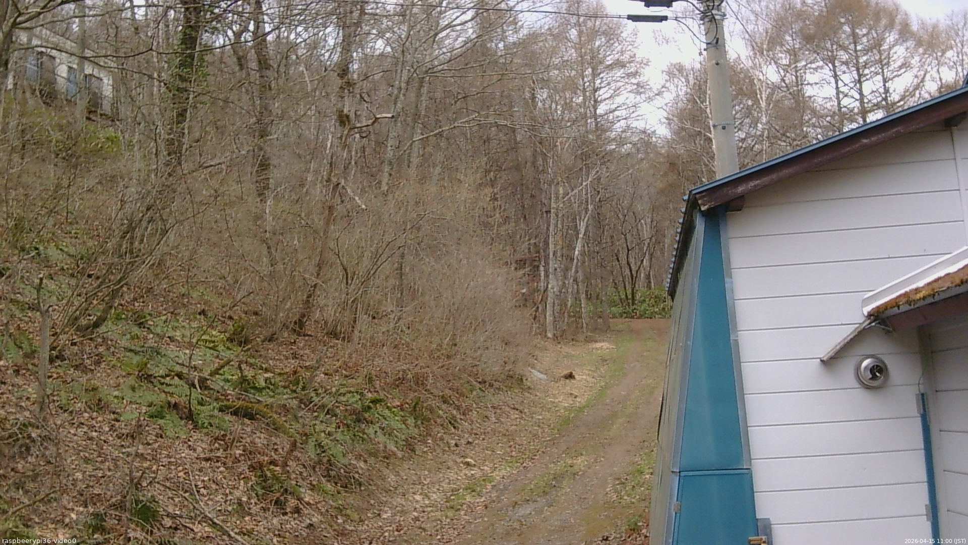 長野県菅平高原 ゆたか山荘 ゆたか山荘 2026/04/15 11:00