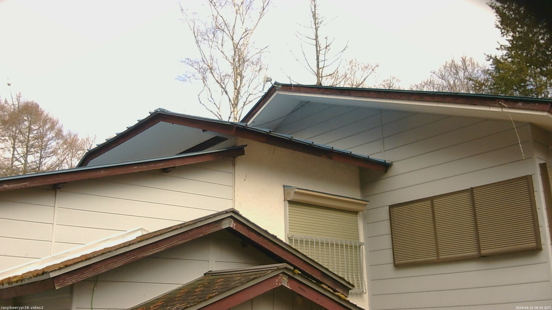 長野県菅平高原 ゆたか山荘 駐車場奥 2026/04/15 08:30